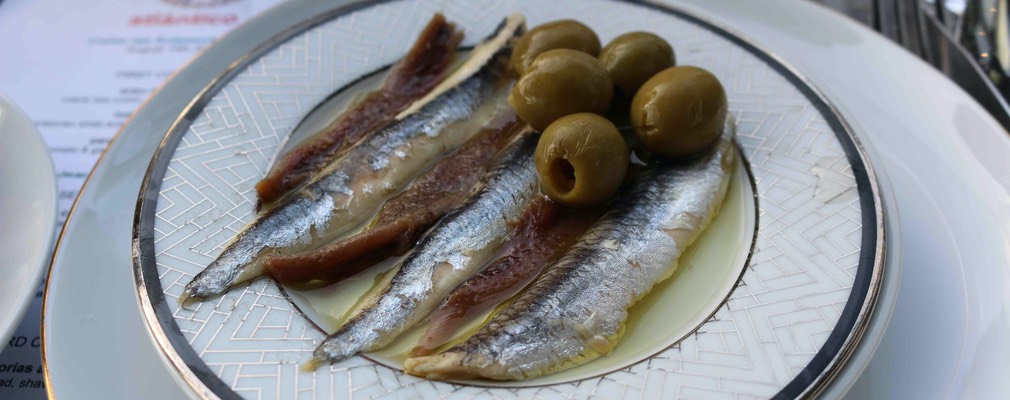 Boston-2021.08.15-photo 12 MB copy