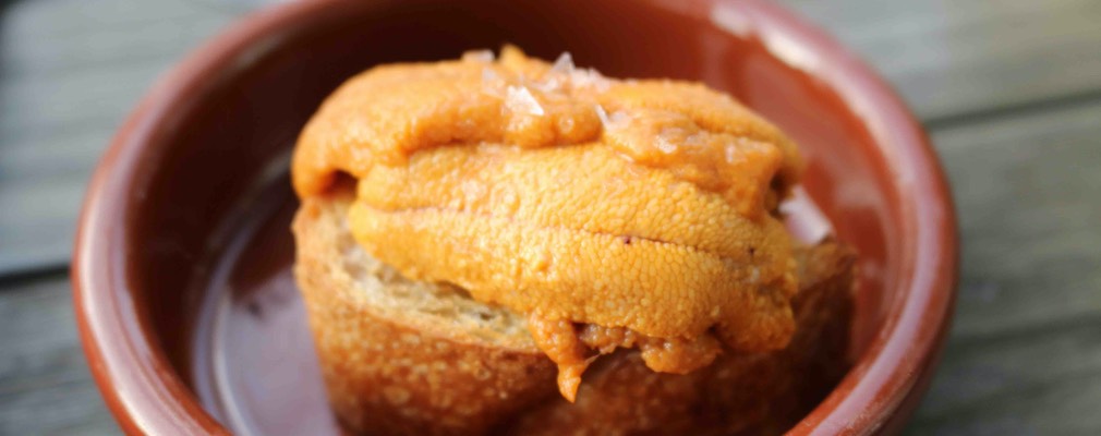 Boston-2021.08.15-photo 14 MB copy