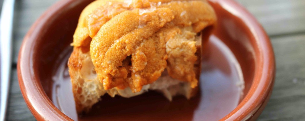 Boston-2021.08.15-photo 15 MB copy