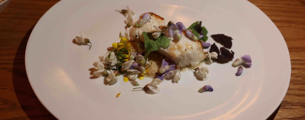 Boston Asta 6/9/21 #12 sm