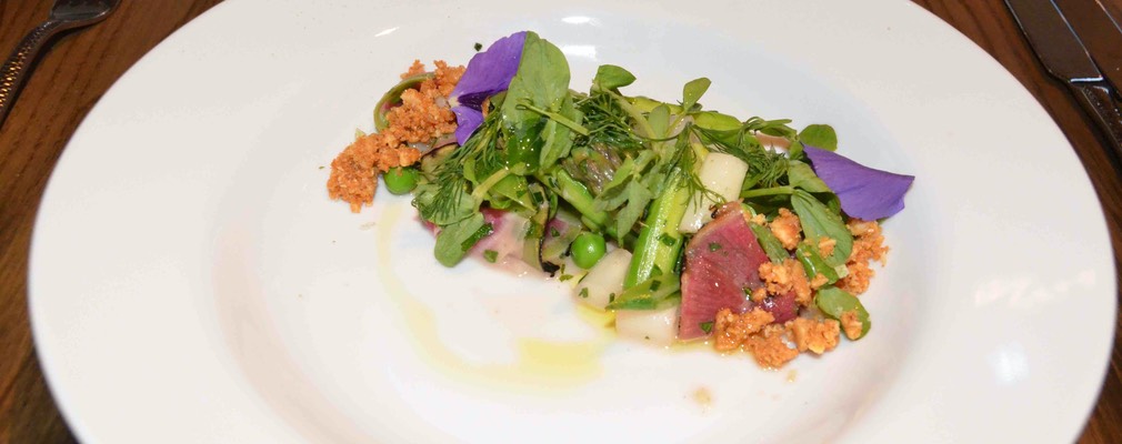 boston cultivar 25 sm