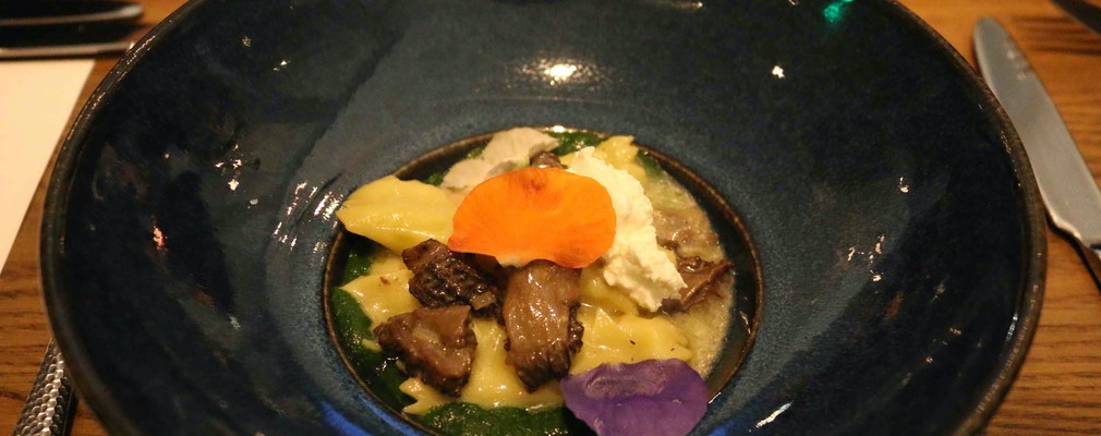 boston cultivar 26 sm