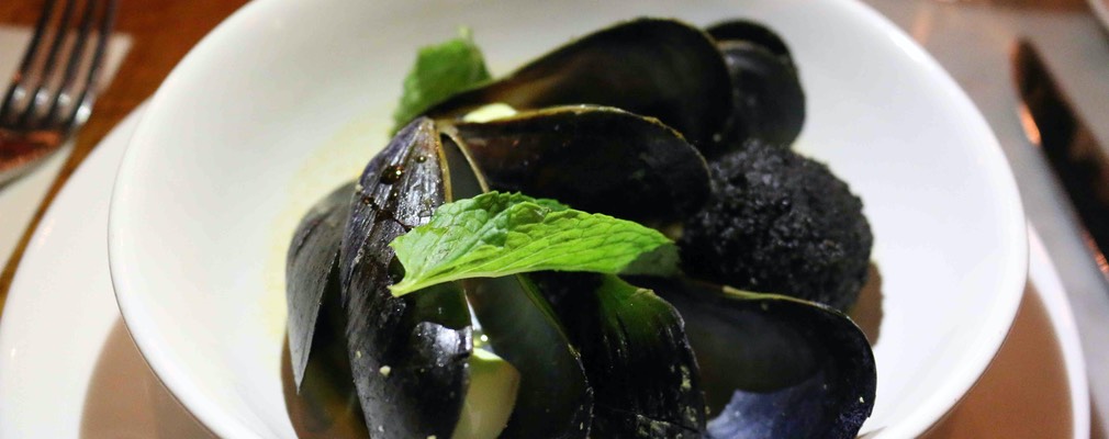 Boston Pammy's 14 sm