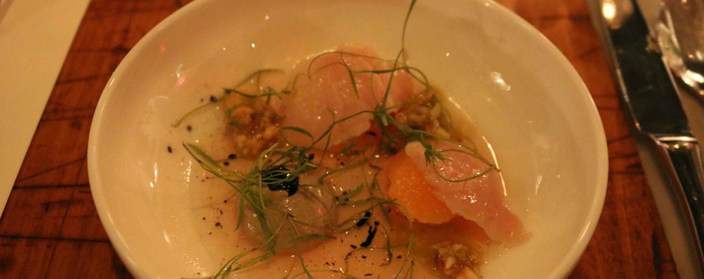 Boston Pammy's 16 sm