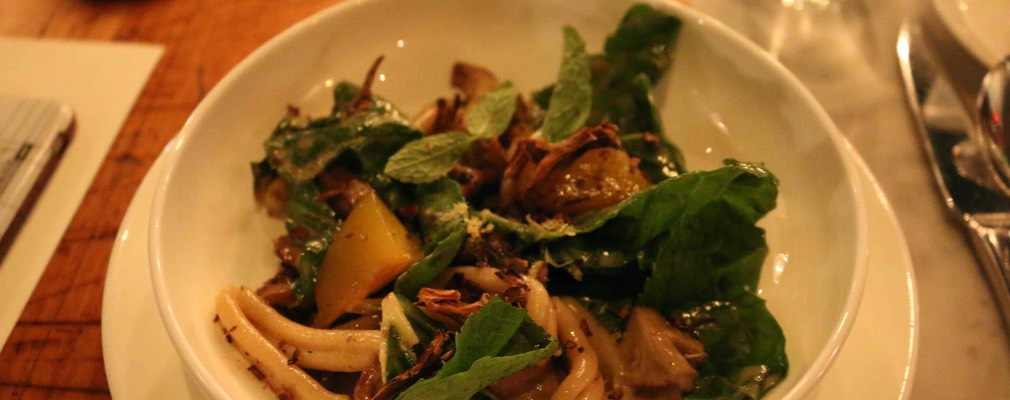 Boston Pammy's 18 sm