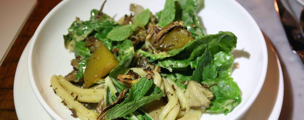 Boston Pammy's 19 sm