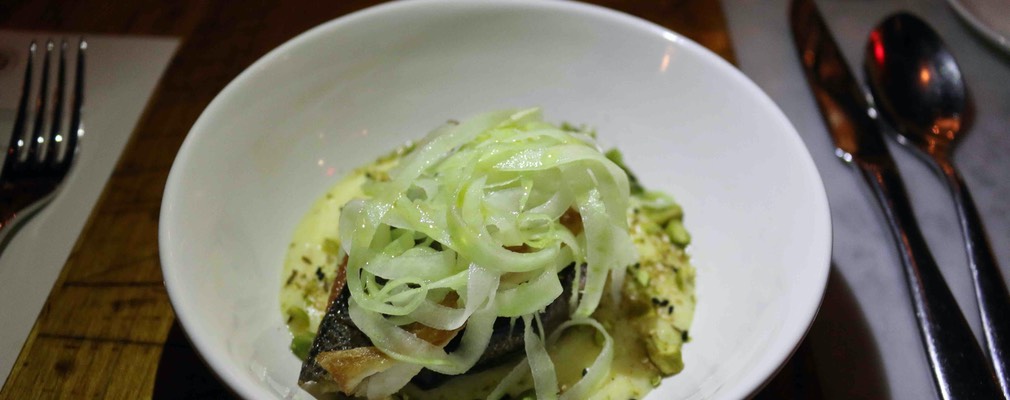 Boston Pammy's 22 sm